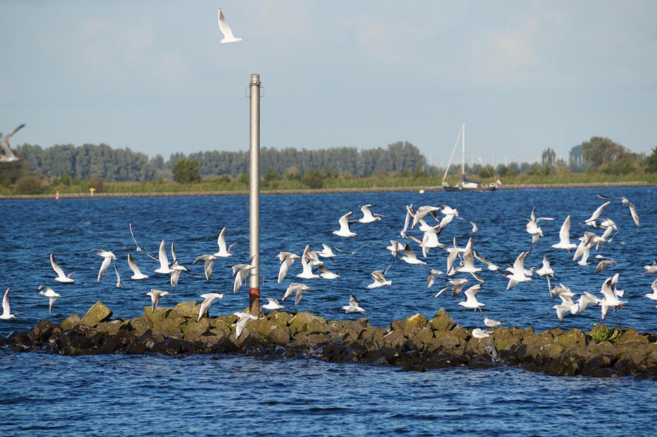 B&B Logeren Bij De Burgemeester Stad aan 't Haringvliet Exterior foto